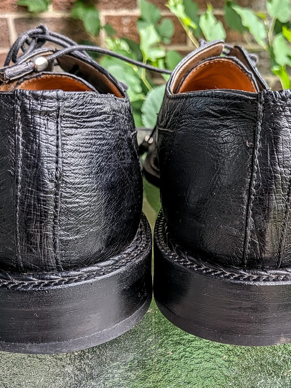 David Eden Men's Exotic 